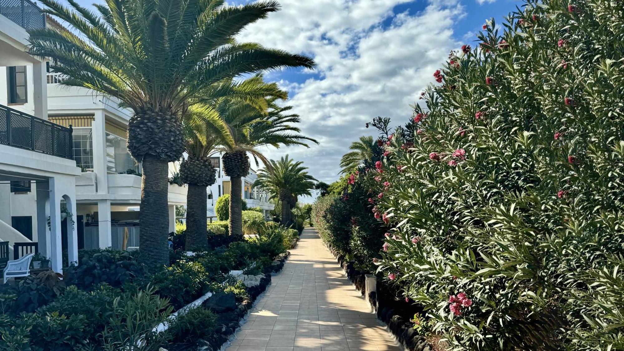 Serena Vista Golf 791 - Appartamento Confortevole A Amarilla Golf San Miguel de Abona Eksteriør billede